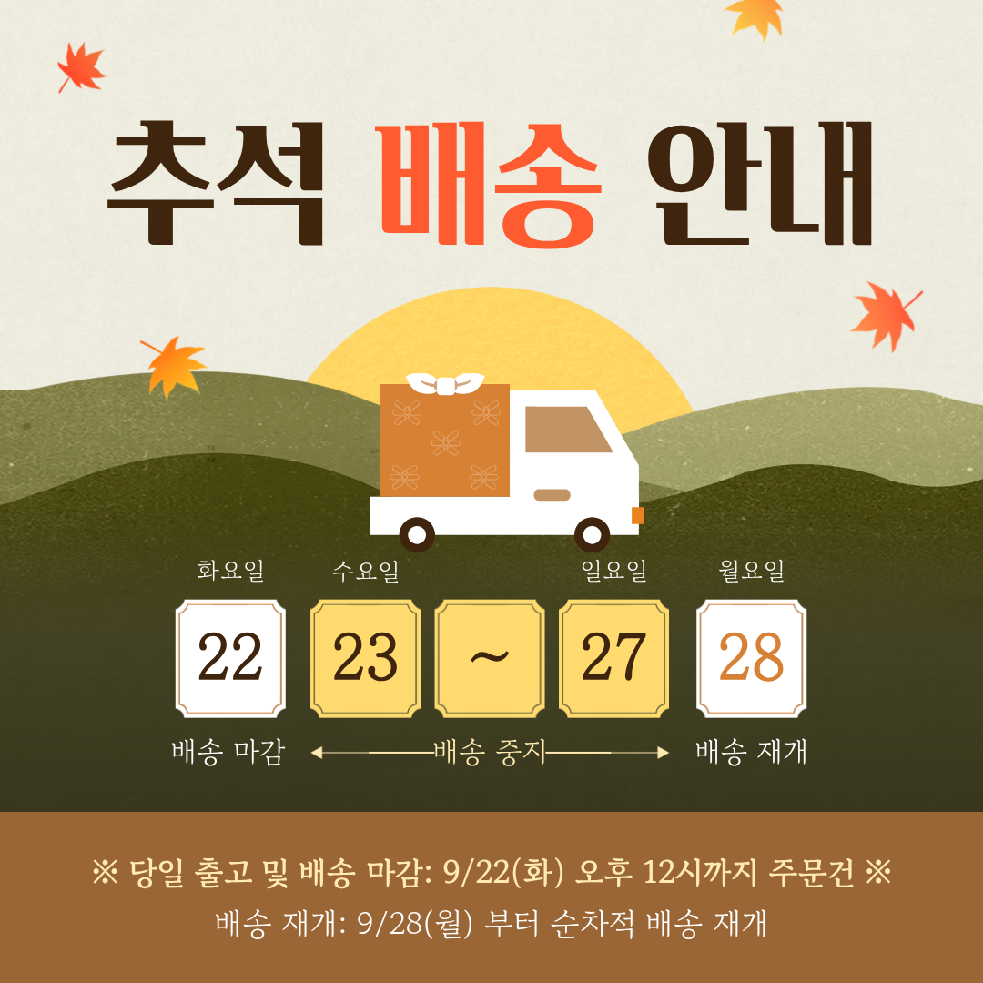 메인 팝업 이미지